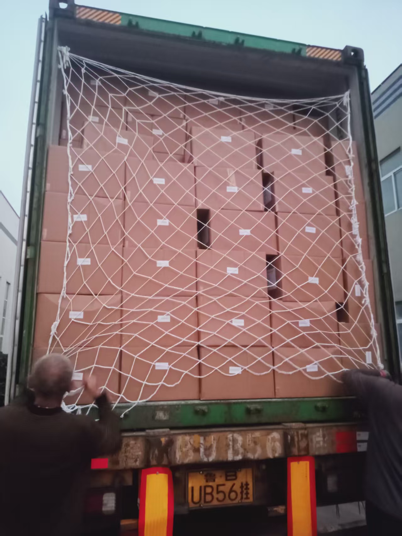 broken tofu cat litter.jpg